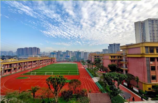 蟠龙小学图片